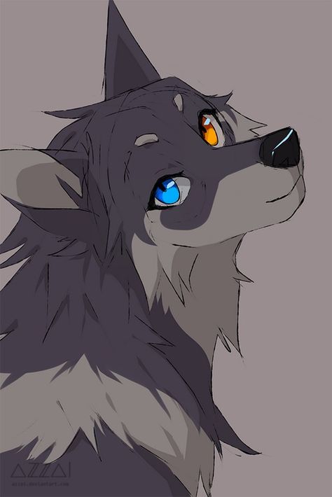 A Wolf, Wattpad, Deviantart, Anime, Blue, Art