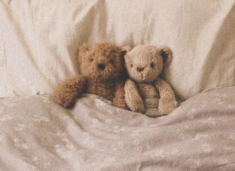 Jellycat Wallpaper, Aesthetic Jellycat, Bear Widget, Blondie Lockes, Bear Aesthetic, Old Teddy Bears, Teddy Bear Wallpaper, Teddy Bear Pictures, Brown Teddy Bear