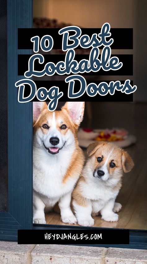 From pet doors with locking mechanisms built-in, to those that lock with a key or slide-in security panel, check out 10 of the best highly-rated dog doors that lock right here! #petdoor #doggiedoor #dogdoor #doggydoor Secure Dog Door, Best Dog Door, Dog Room Decor, Dog Doors, Door Options, Pet Doors, Dog Wall Decor, Dog Suit, Dog Rooms