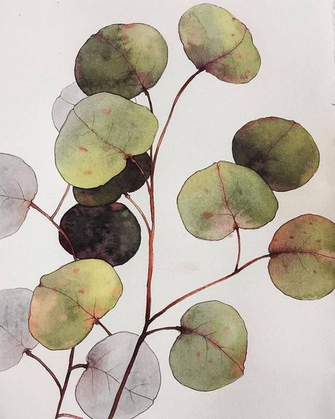 Paint Flowers, Watercolour Inspiration, Watercolor Plants, Watercolor Flower Art, 수채화 그림, Botanical Watercolor, Watercolor Leaves, Plant Illustration, Watercolor Inspiration