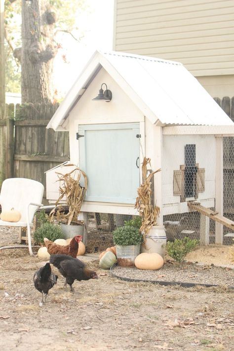 chicken coop fall Chicken Coop White, Chicken Coop Aesthetic, Chicken Duck Coop, Chook Pen, Chicken Coop Diy, Chickens Coop, Chicken Tips, Backyard Homestead, Rosebud Motel