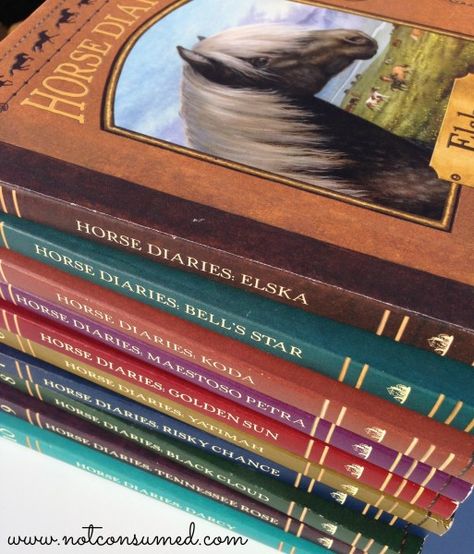 Horse diaries: a great set of historical fiction books for young horse lovers! Pack Horse Librarians, Horse Stuffed Animals, Stuffed Animal Horse, Books For Girls, Horse Notebook, All The Pretty Horses Book, Horse Story, Love Horses, Diary Book