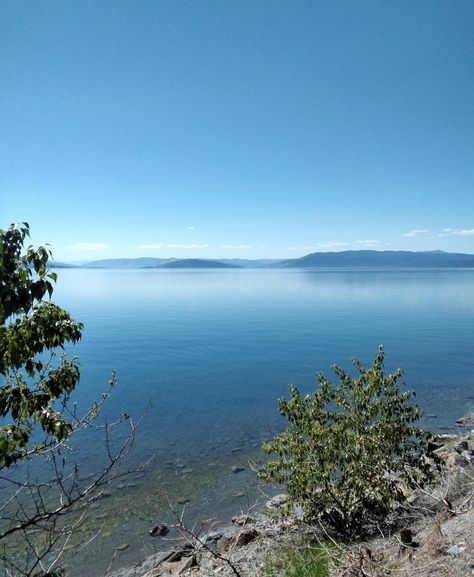 Lake Montana, Montana Usa, Flat Head, Montana, Lake, Nature