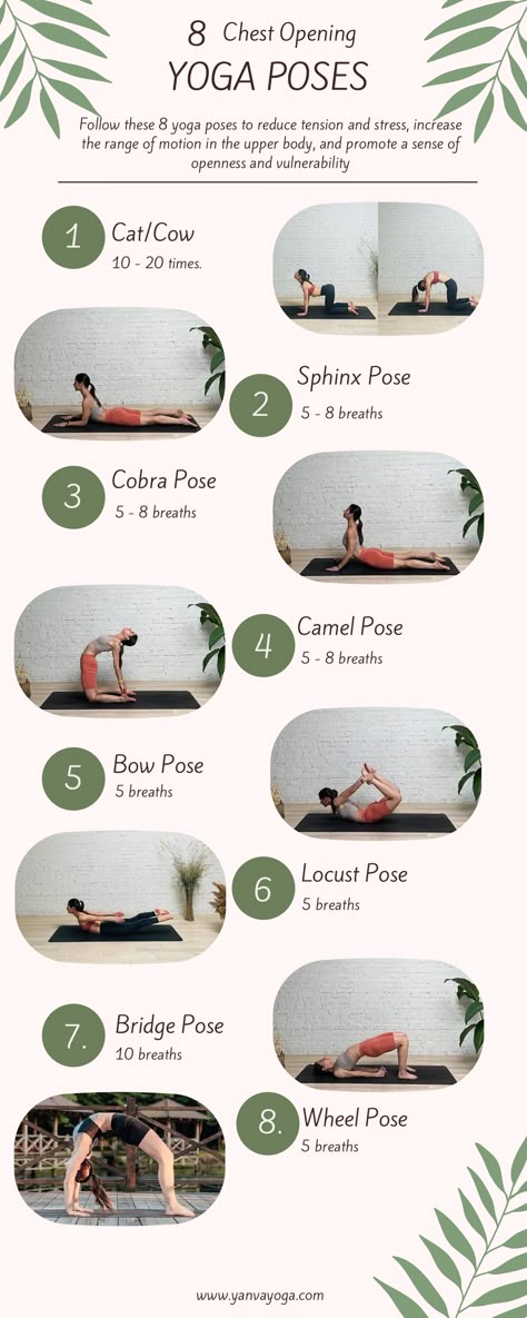 Chest Opening Yoga Poses, Chest Opening Yoga, Chest Opening Asanas, Chest Opening Poses, Back Bend Yoga Poses Chest Opening Yoga, Sivananda Yoga, Relieve Lower Back Pain, Yoga Flow Sequence, Hip Opening Yoga, Yoga Facts, Morning Yoga Routine, Chest Opening, Yoga Flows