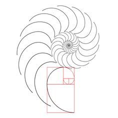 Fibonacci Drawing, Fibonacci Spiral Art, Fibonacci Art, Divine Proportion, Snail Art, Fractal Geometry, Fibonacci Spiral, Sacred Geometry Art, Geometry Art