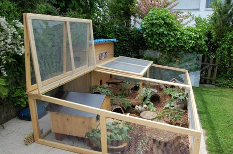 #Guineapigs   #diy  Now this looks like a cool playpen setup! 😉 Outdoor Tortoise Enclosure, Rabbit Enclosure, Guinea Pig Hutch, Tortoise House, Tortoise Enclosure, Rodent Repellent, Bunny Hutch, Tortoise Habitat, Guinea Pig House