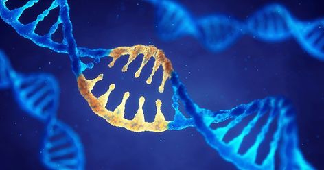 Reversible Gene Editing Is On The Horizon | Freethink Female Hormone Imbalance, Dna Molecule, Genetic Diseases, Human Genome, Egg Donation, Genetic Engineering, Gene Therapy, Genetic Mutation, Saint John