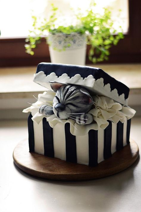 Gift Box Cakes, Fresh Cake, Animal Cakes, Cat Cake, Crazy Cakes, Cute Kitty, Novelty Cakes, Cake Designs Birthday, Birthday Cake Decorating