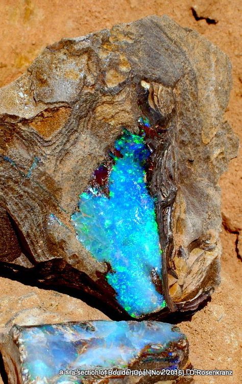 a rough piece of Boulder Opal from the Quilpie area , Queensland , Australia [pic. Nov 2016 ] Raw Opal Rock, Opal Rock, Boulder Opal Jewelry, Cairns Queensland, Minerals Crystals Rocks, Pretty Rocks, Raw Opal, Australian Boulder Opal, Cool Rocks