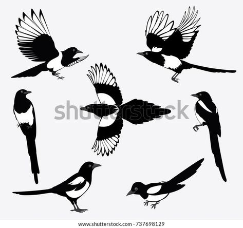 Magpie Tattoo, Magpie Art, Art Deco Logo, Vogel Tattoo, Orchid Tattoo, Traditional Tattoo Art, Shadow Art, Bird Silhouette, 캐릭터 드로잉