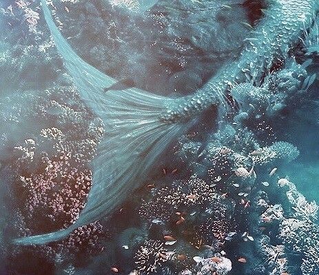 No Ordinary Girl, Swimming In The Ocean, Siren Mermaid, Mermaid Aesthetic, Mermaid Dreams, Mermaid Life, Sea Witch, Princess Aesthetic, Fantasy Aesthetic