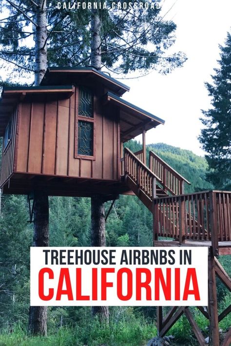 Want a unique place to stay in California? Check out these awesome treehouse Airbnbs in California - amidst redwoods or pine forests, they're absolutely breathtaking! unique California Airbnbs | unique accommodations in California | treehouse rentals in California | Airbnb treehouses in California | cool treehouse rentals in California | California treehouse Airbnb Cool Treehouse, California Airbnb, California Trees, Treehouse Rentals, Treehouse Airbnb, California Getaways, Redwood National Park, California Destinations, The Redwoods