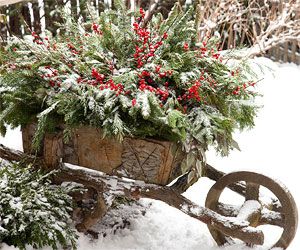 Christmas wheel barrow decor-great idea to display outside your home Vintage Wheelbarrow, Christmas Ambience, Winterberry Holly, Wooden Wheelbarrow, Deco Champetre, Christmas Desktop, Dried Eucalyptus, Christmas Planters, Winter Plants