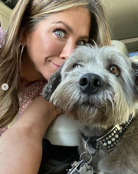 Dog, Mammal, Canidae, Dog breed, Schnoodle, Companion dog, Snout, Carnivore, Miniature schnauzer, Morkie, Aniston Jennifer, Hms Prince Of Wales, 52nd Birthday, Jeniffer Aniston, Jennifer Aniston Hair, Jennifer Aniston Style, Jennifer Aniston Hot, Jenifer Aniston, Jen Aniston