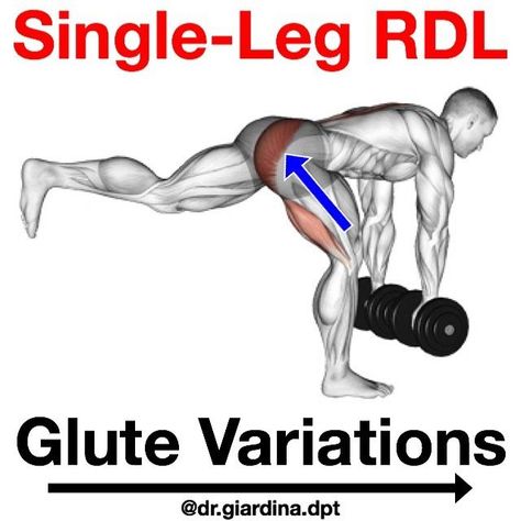 Glute Program, Single Leg Rdl, Romanian Deadlift, Posterior Chain, Routine Workout, At Home Workout Plan, Hip Workout, Leg Raises, Kettlebell