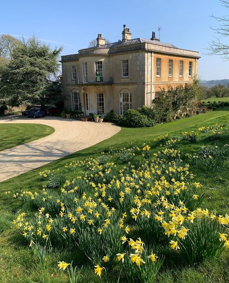 Sophie Conran Shop on Instagram: “She wore her yellow sun-bonnet, ⁠ She wore her greenest gown; ⁠ She turned to the south wind ⁠ And curtsied up and down. ⁠ She turned to…” Spring Daffodils, Sophie Conran, Conran Shop, Feeling Inspired, Green Gown, Yellow Sun, Garden Yard Ideas, Country House Decor, Garden Yard