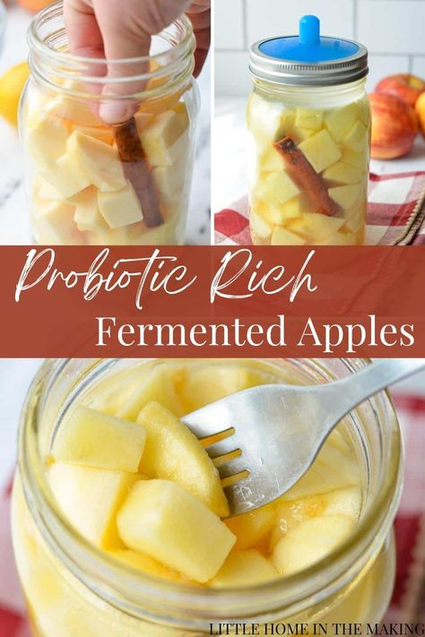 If you’re trying to incorporate more fermented foods for gut health, you’re going to love this easy and probiotic-rich recipe for fermented apples. This fermented fruit is easy to make with just a few simple ingredients and takes far less time than most fermented foods. This recipe for fermented apples includes cinnamon for that apple-pie-like flavor, while keeping it healthy and simple. The perfect way to preserve apples for up to 2 months! Apple Salsa Recipe, Fermented Apples, Apple Salsa, Cultured Food, Sauce Spaghetti, Fermented Veggies, Salsa Guacamole, Gut Health Recipes, Fermentation Recipes