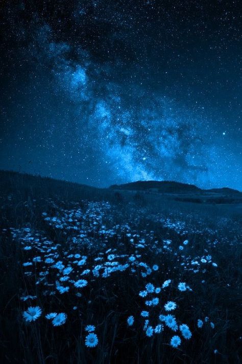 Starry Forest Aesthetic, Blue Hour Background, Dark Blue Vibes Aesthetic, Dark Blue Sky Aesthetic, Blue Royalty Aesthetic, Dark Blue Nature Aesthetic, Blue Space Aesthetic, Night Blue Aesthetic, Starry Sky Aesthetic