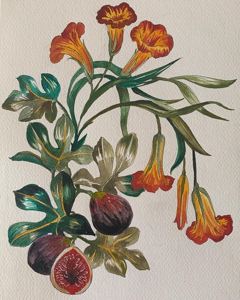 Golden Trumpet Flower Tattoo, Trumpet Vine Tattoo, Fig Tree Tattoo, Fig Tattoo, Fig Illustration, Fig Vine, Vine Painting, Flowers On A Vine, Fig Art