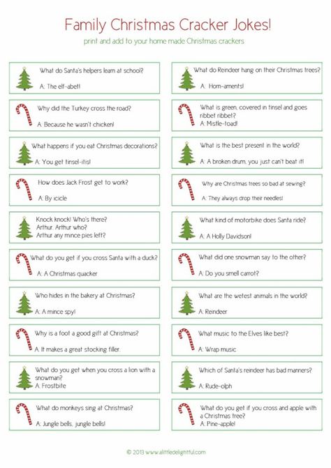 DIY Christmas favours and printable Christmas jokes :: the New Idea Project - a little delightful Christmas Cracker Jokes, Xmas Crackers, Cracker Jokes, Christmas Favors Diy, Christmas Favours, Christmas Riddles, Diy Christmas Crackers, Xmas Jokes, Xmas Games