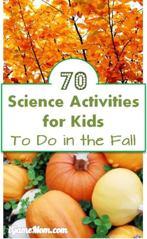 More than 70 autumn themed science activities to do with kids this fall season - leaves, apples, pumpkins, pine cones, sun, moon, stars, wind, rain, … and more. Wonderful STEM resource for school, homeschool or after school. Activities To Do With Kids, Fall Science, Classroom Homeschool, Autumn Activities For Kids, Fall Preschool, Science Activities For Kids, Kindergarten Science, Preschool Science, Sun Moon Stars