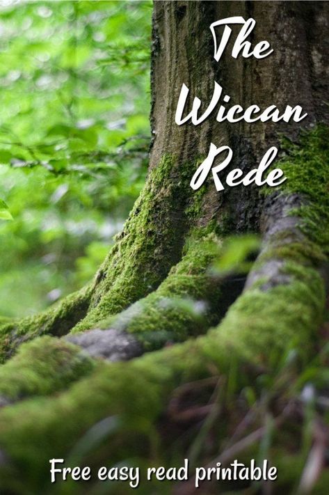 The Wiccan Rede - Grounded In The Earth Beginner Witches, Laying On The Floor, Wiccan Rede, Spiritual Things, Witchy Things, Beltane, Perfect Love, Samhain, On The Floor