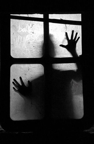 Sorry for looking through your window... Creepy Window, European Style Outfits, Scary Photography, Window Shadow, Horror Photography, Horror Photos, Creepy Guy, Creepy Horror, Dark Pictures