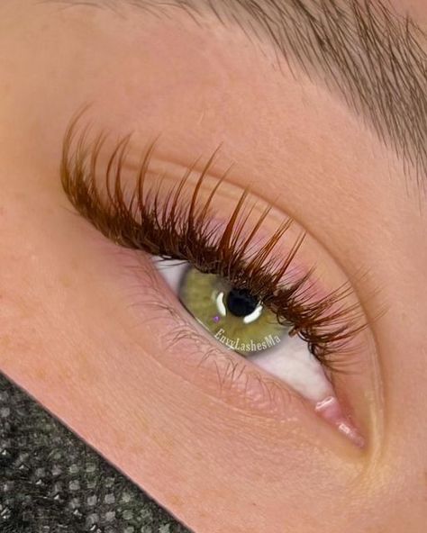 Brown Eyelash Extensions Natural, Gabrielle Core, Brown Lash Extensions, Natural Fake Eyelashes, Lash Extentions, Brown Hairstyles, Russian Volume Lashes, Lashes Extensions, Lash Extensions Styles