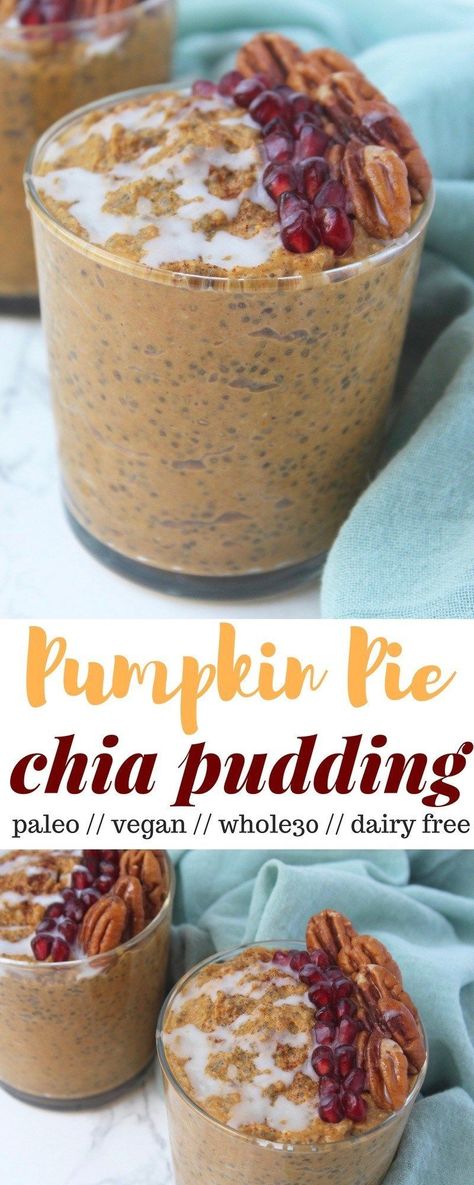 Pumpkin chia pudding takes the flavors of your favorite holiday dessert and turns it into a healthy chia pudding recipe. Made with pumpkin puree, pecans, milk, spices, and slightly sweetened, it makes a delicious breakfast, snack, or dessert. Gluten-free, dairy-free, and vegan-friendly! Healthy Pumpkin Pudding, Healthy Chia Pudding Recipe, Pumpkin Puree Recipes Healthy, Chia Pudding Coconut Milk, Healthy Chia Pudding, Pumpkin Pie Chia Pudding, Pumpkin Chia Pudding, Chia Pudding Recipes Healthy, Pumpkin Puree Recipes