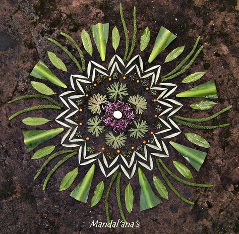 Earth Offerings, Mandela Floral, Natural Mandala, Geometry Nature, Community Programs, Nature Mandalas, Mandala Nature, Earth Crafts, Voice Of Nature