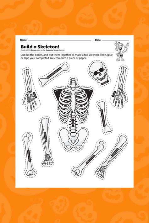 Build a skeleton puzzle with bone parts. Build A Skeleton, Relay Games, Fall Lesson Plans, Halloween Lesson, Fall Lessons, Skeletal System, Skeleton Bones, Skull Hand, A Skeleton