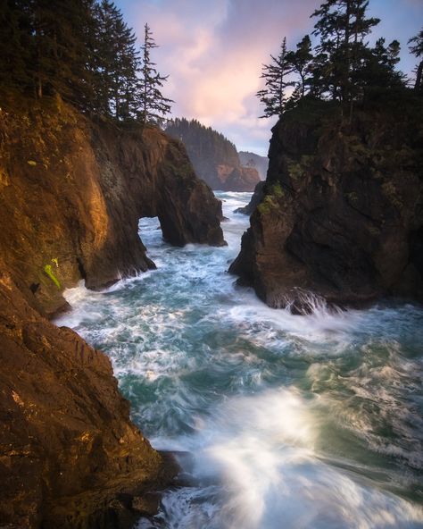 Samuel+H.+Boardman+State+Scenic+Corridor Scenic Byway, Forest Park, Travel Board, Oregon Coast, Beautiful Places To Travel, Landscape Photographers, Pacific Northwest, State Parks, Places To Travel