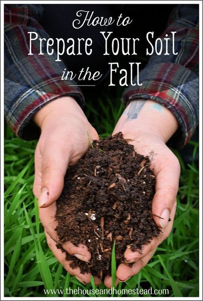 Learn how to prepare your soil in the fall for planting in spring and give yourself a leg up on next year's vegetable garden growing season! #fallgarden #fallgardening #healthysoil #garden #gardening #gardener #gardeningtips #organicgardening #organicgarden #vegetablegardening #vegetablegarden #growyourownfood Ripen Green Tomatoes, Thriving Garden, Healthy Garden, Sustainable Garden, Easy Garden, Grow Your Own Food, Garden Soil, Planting Herbs, Autumn Garden