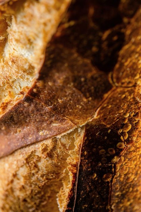 Bread Rustic, Bread Texture, Bakery Branding, Bread Art, Texture Photography, Crusty Bread, Coffee Branding, Bread Flour, Daily Bread