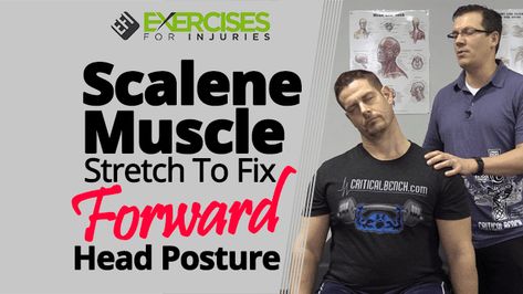 Scalene Muscle Stretch, Scalene Muscle, Posture Stretches, Forward Head Posture Exercises, Head Muscles, Posture Fix, Muscle Stretches, Forward Head Posture, Posture Exercises