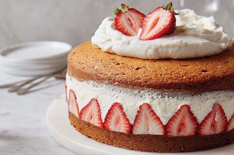 Strawberry Mascarpone Tea Cake | King Arthur Baking Summertime Desserts, Mascarpone Mousse, Strawberry Mascarpone, Mascarpone Recipes, Sponge Cake Filling, Fruit Pie Filling, Spring Time Desserts, Icebox Pie, Berry Recipes