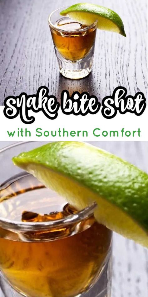 This snake bite shot with Southern Comfort is the perfect shot for your next party. This snake bute shot recipe packs a punch and is a tasty shooter that is perfect for parties. If you are looking for a fun whiskey shot, this is a great one to put on your cocktail menu. There are lots of different variations on this easy shot. Cowboy Shots Alcohol, Rattlesnake Shots Recipe, Whiskey Shots Recipes, Whiskey Shooters, Snake Bite Drink, Snake Cocktail, Alcohol Shots, Maple Whiskey, Whiskey Recipes