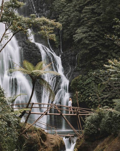 8 amazing things to do around Munduk, Bali — Walk My World Banyumala Waterfall, Munduk Bali, Bali Waterfalls, Bali Itinerary, Rice Field, Rice Terraces, Epic Photos, Ubud Bali, Instagrammable Places