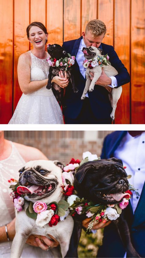 Pug Wedding Ideas, Pug At Wedding, Dogs At Weddings Ideas, Wedding Cakes Dog, Pug Wedding, Dog Wedding Photos, Wedding Dogs, Dog Wedding Outfits, St Pete Wedding