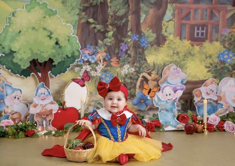 Snow White Photoshoot, White Party Theme, Baby Photography Backdrop, Snow White Birthday Party, Snow White Birthday, Snow White Party, Halloween Photoshoot, Halloween Photos, Birthday Photoshoot