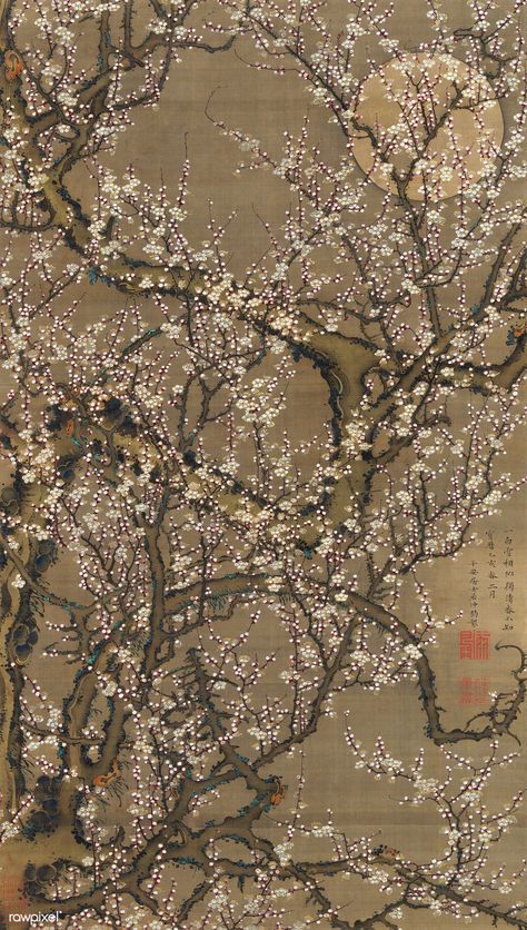 White Plum Blossoms and Moon (1755) illustration by Ito Jakuchu. Original from The MET Museum. Digitally enhanced by rawpixel. | free image by rawpixel.com / The Metropolitan Museum of Art (Source) Art Floral Japonais, Ito Jakuchu, Japanese White, White Plum, Plum Blossoms, Free Illustration Images, Mural Floral, Art Japonais, Tree Illustration