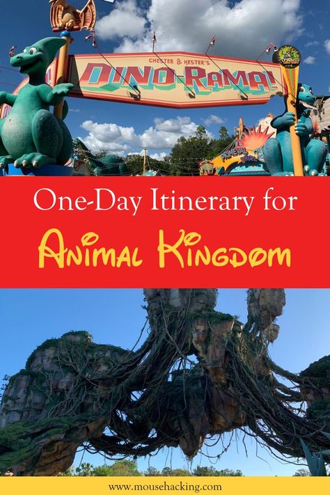 Animal Kingdom is a popular Disney park with so much to see and do. We want to make sure you get to see as much as possible at Animal Kingdom in one day so we created an Animal Kingdom one day itinerary for you. It includes Animal Kingdom food, Animal Kingdom rides, Animal Kingdom hack, Animal Kingdom hotels and more. Come check it out and save it to your Disney board so you can find it later. #disney #animalkingdom #disneyitinerary Animal Kingdom Itinerary, Animal Kingdom Snacks, Animal Kingdom Restaurants, Animal Kingdom Food, Animal Kingdom Rides, Disney Animal Kingdom Lodge, Disney Animal Kingdom, Morning Noon And Night, Disney World Vacation Planning