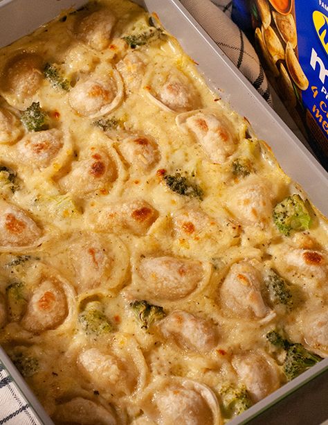 Creamy Chicken & Broccoli Pierogy Bake Pierogi Bake, Baked Perogies, Creamy Chicken Broccoli, Pierogi Casserole, Pierogi Recipe, Raw Chicken Breast, Chicken Gravy, Chicken Broccoli, Chicken Casserole