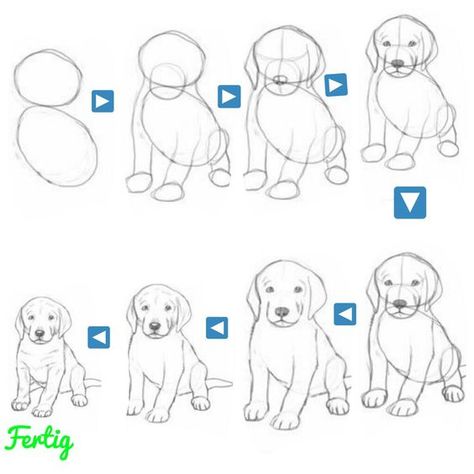 Drawings step by step for kids #drawingsstepbystepforkids Drawing ideas #drawingideas Drawing ideas for kids #drawingideasforkids 4.1148 Dog Drawing Tutorial, Draw A Dog, Paint Animals, Dog Drawing Simple, Pencil Drawings For Beginners, Realistic Pencil Drawings, Drawing Animals, Dog Sketch, 강아지 그림