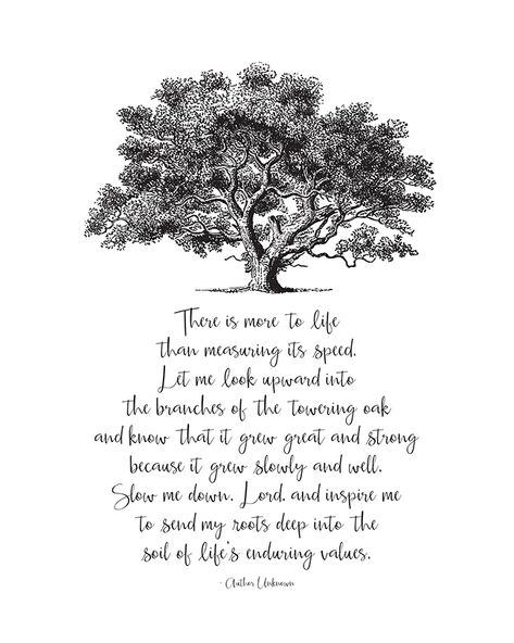 Oak Tree Meaning, Tree Meanings, Tree Poem, Tree Quotes, Tree Theme, Recovery Inspiration, Plants Quotes, Old Oak Tree, Wiccan Witch