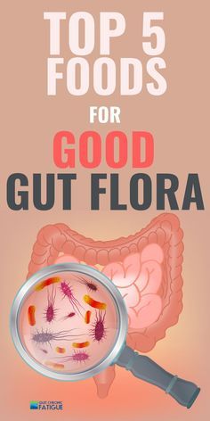 Find the top foods that help gut flora and start building good gut health today. #guthealth #guthealing #healthygut Good Gut Health, Gut Inflammation, Good Gut Bacteria, Heal Leaky Gut, Gut Health Diet, Gut Healing Recipes, Gut Health Recipes, Best Probiotic, Gut Flora