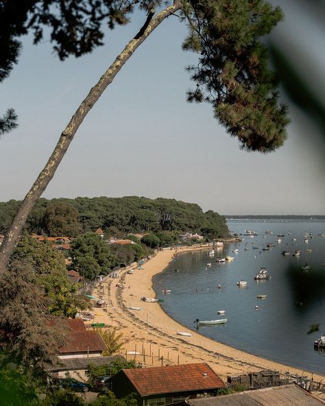 Memories from Cap Ferret, France 🥹 #CapFerret #CapFerretFrance #CapFerretBeach #CapFerretVibes #BassinDArcachon #ArcachonBay #VisitCapFerret #CapFerretNature #FrenchCoast #ExploreFrance #TravelFrance #NatureLovers #OceanVibes #CoastalViews #LandscapePhotography #travelphotography #naturephotography #igersfrance #igerscapferret #igersarcachon #worldnomads #sonyalphafemale #tlpicks #passionpassport #earthpix #cntgiveitashot #natgeotravel #wonderfulplaces #dametraveler #lonelyplanet Cap Ferret, Ocean Vibes, France Travel, Lonely Planet, Ferret, Wonderful Places, Landscape Photography, Travel Photography, Nature Photography