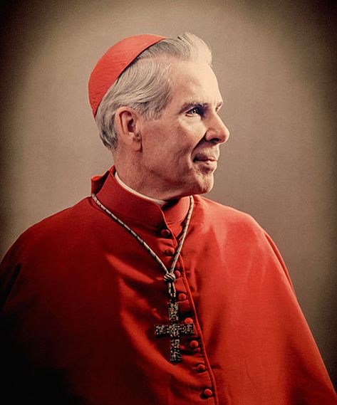 Bishop Sheen, Catholic Devotions, Fulton Sheen, City Of God, Daily Quote, Daughters Of The King, Roman Catholic, Catholic Faith, Catholic Church