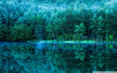 Japanese Forest Wallpapers - Top Free Japanese Forest Backgrounds - WallpaperAccess Thunderhead Color, Forest Iphone Wallpaper, Teal Wallpaper Iphone, Japanese Forest, Wallpaper Estetika, Wallpaper Homescreen, Nature Iphone Wallpaper, Teal Wallpaper, Iphone Wallpaper Images