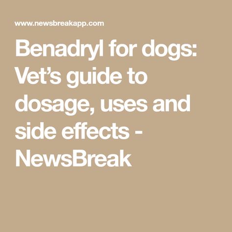 Benadryl for dogs: Vet’s guide to dosage, uses and side effects - NewsBreak Benadryl For Dogs Dosage, Benadryl For Dogs, Dog Benadryl, Bad Allergies, Veterinary Studies, Increase Heart Rate, A Vet, Health Heal, Allergy Symptoms